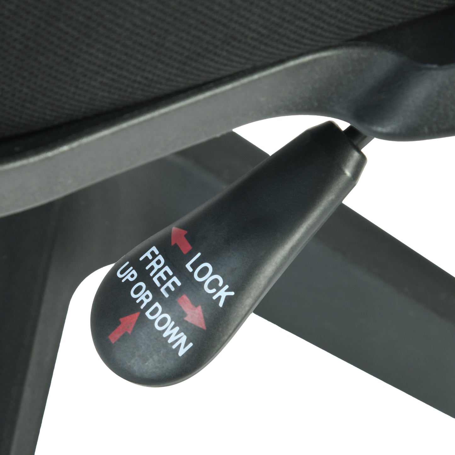 Modern Ergonomic Office Chair, PP Backrest & Armrests - TIVORAX