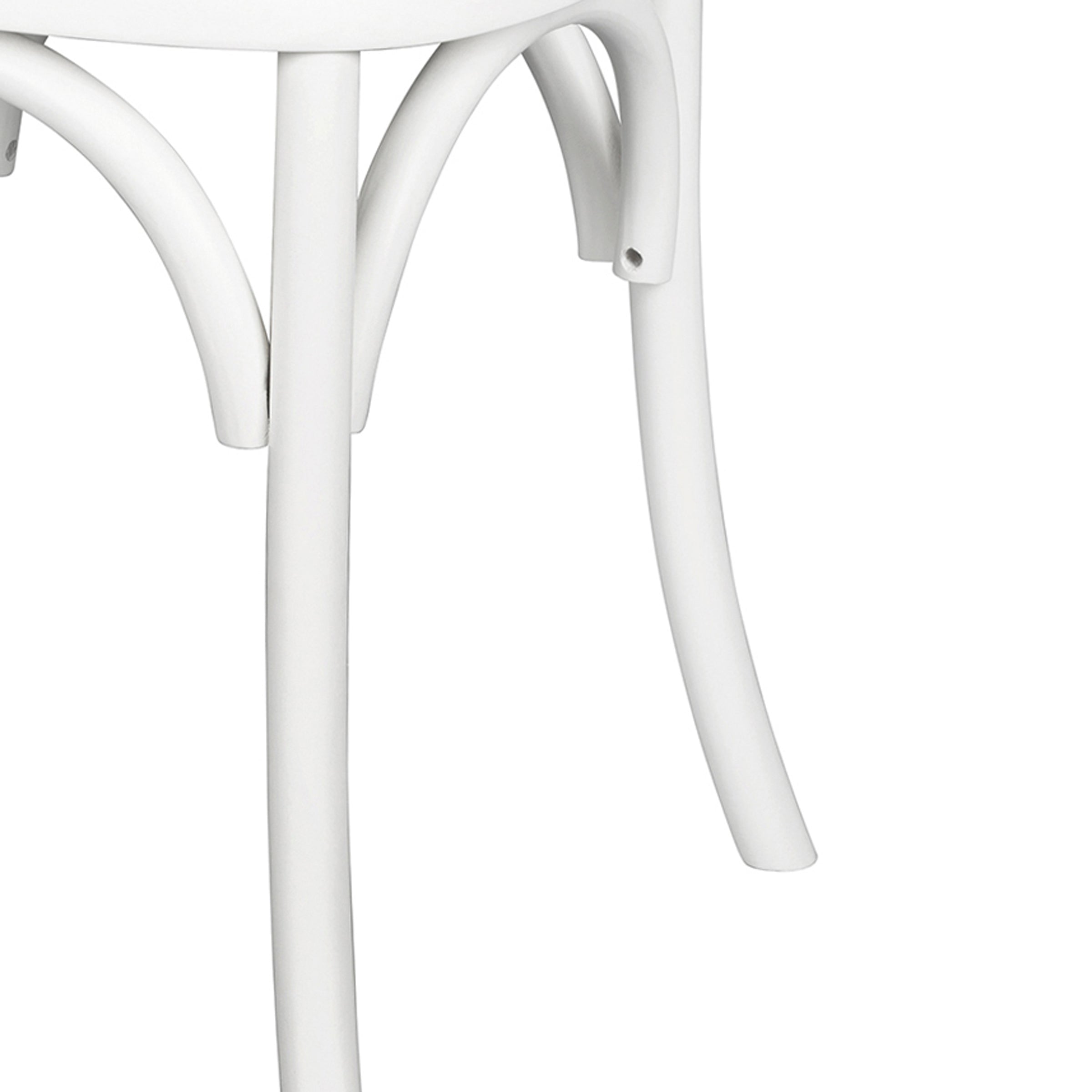 Modern Beech Wood Dining Chair - TARA-WHITE