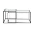 Adomo Glass Coffee Table