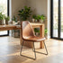 Modern Brown PU Dining Chair – ANCHOR