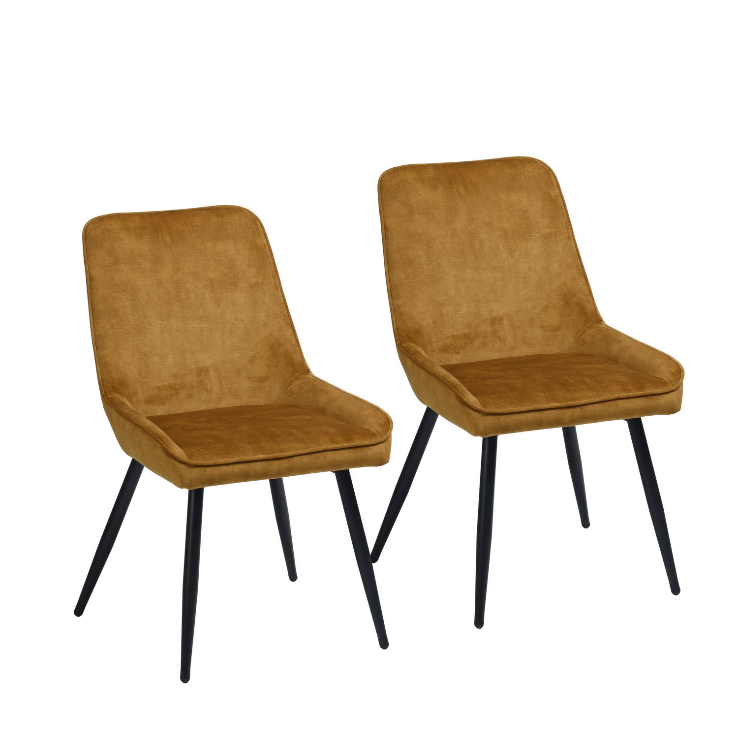 Aralia Dining Chair