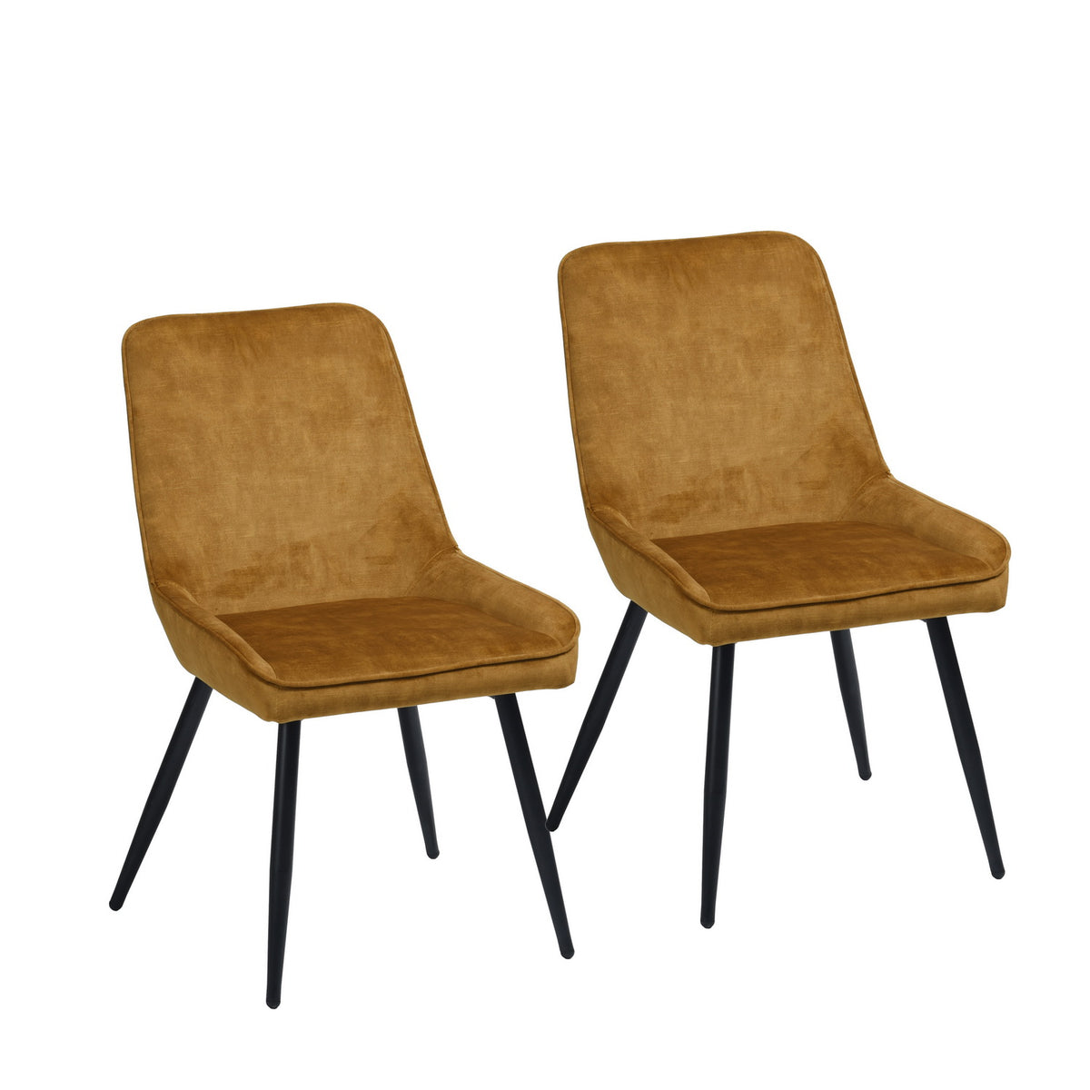 Aralia Dining Chair