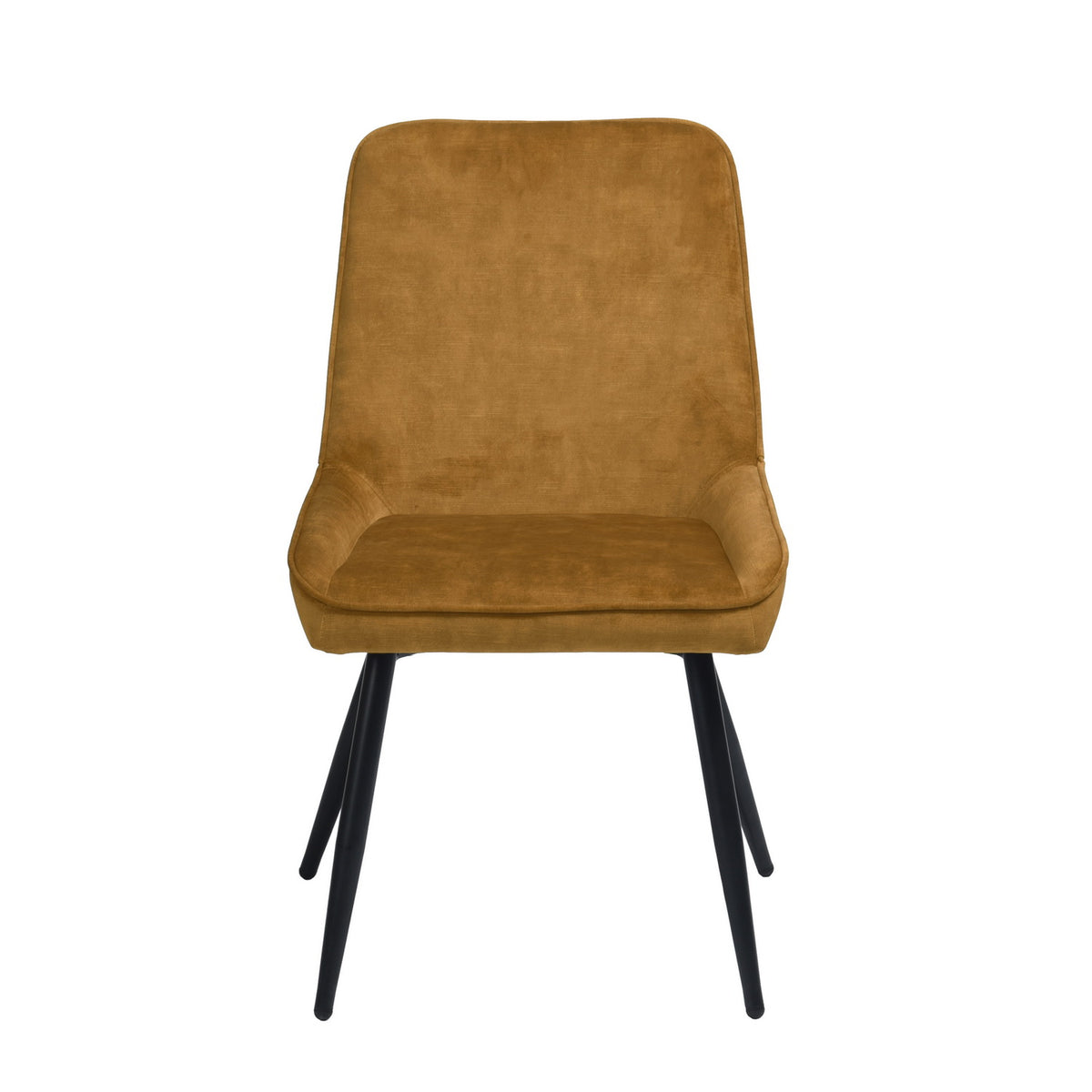 Aralia Dining Chair