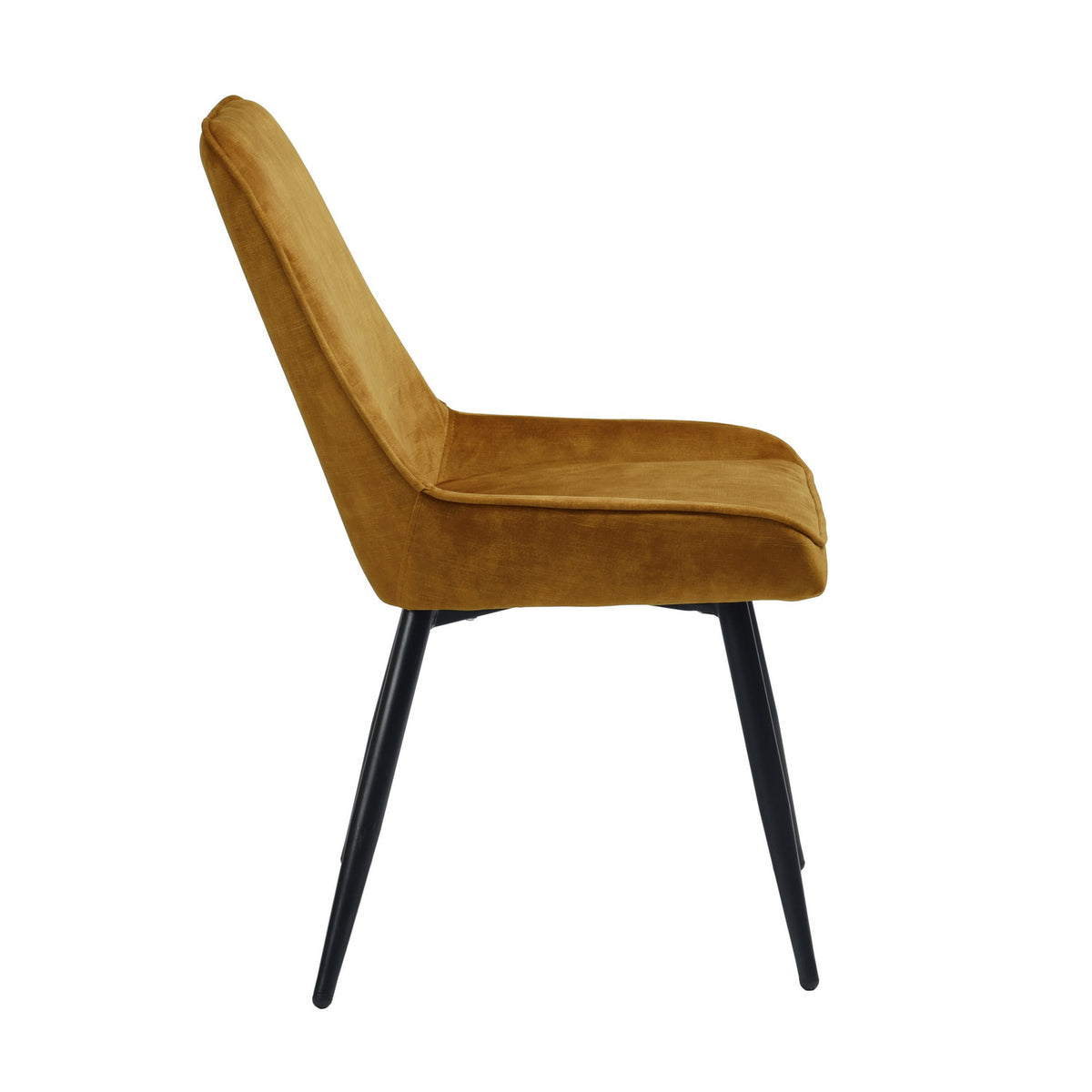 Aralia Dining Chair