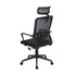 Modern Mesh Office Chair, Ergonomic Adjustable - BASTIEN