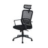 Modern Mesh Office Chair, Ergonomic Adjustable - BASTIEN