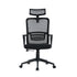 Modern Mesh Office Chair, Ergonomic Adjustable - BASTIEN