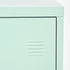 Councilbluffs Green Accent Cabinets