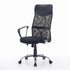 Modern Mesh Office Chair, Ergonomic Black Design - DANAS BZJ