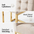 Modern Velvet Dining Chair, Gold Chrome Legs – FALLON CHAMPAGNE