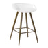 Fiyan Counter Barstool