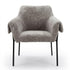Modern Leisure Chair, Fabric Upholstery Iron Frame - INE DARK GREY