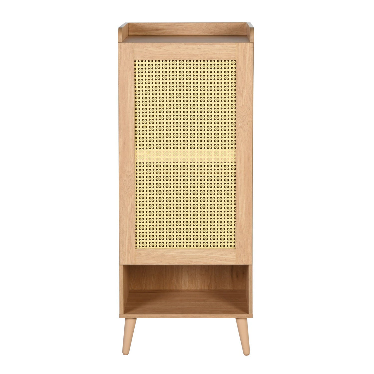 Queralt Faux Rattan Shoe Cabinet
