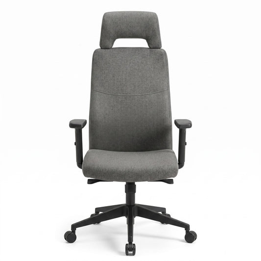 Modern Ergonomic Fabric Office Chair - RACHEL DG