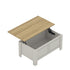 Modern Grey Lift-Top Table, Particleboard Accent - SHERBOURNE Coffee Table