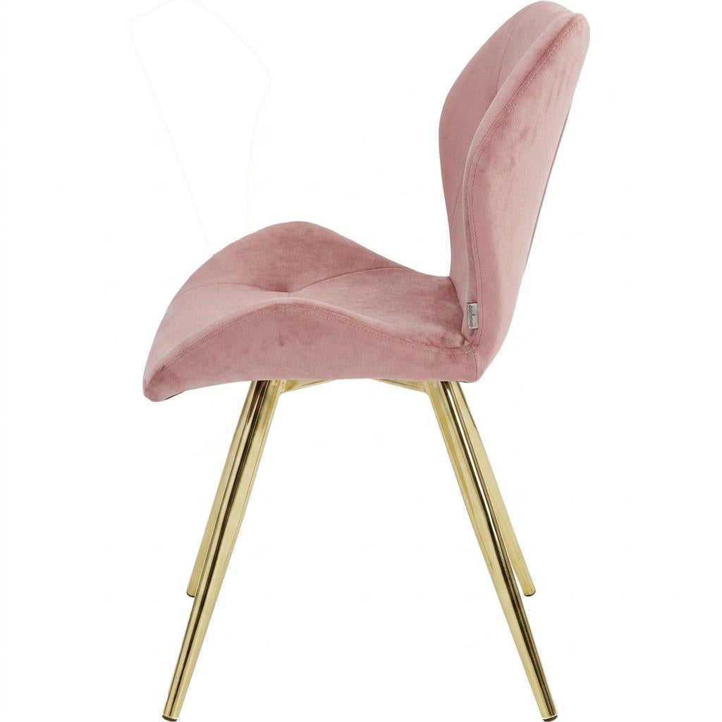Modern Velvet Dining Chair Set, Golden Legs - SUNIL ROSE 2PCS