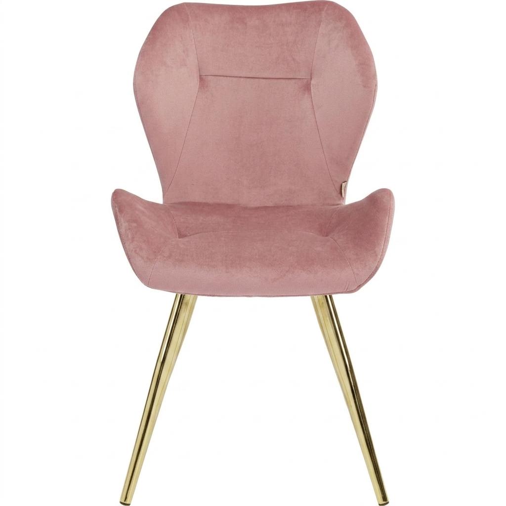 Modern Velvet Dining Chair Set, Golden Legs - SUNIL ROSE 2PCS