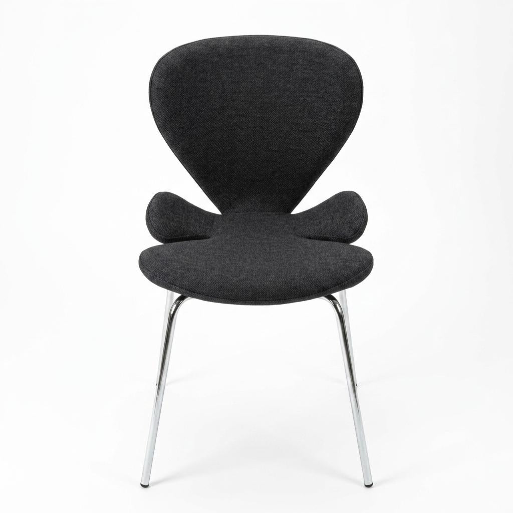 Modern Blue Bentwood Dining Chair Set – VIVI 2PCS