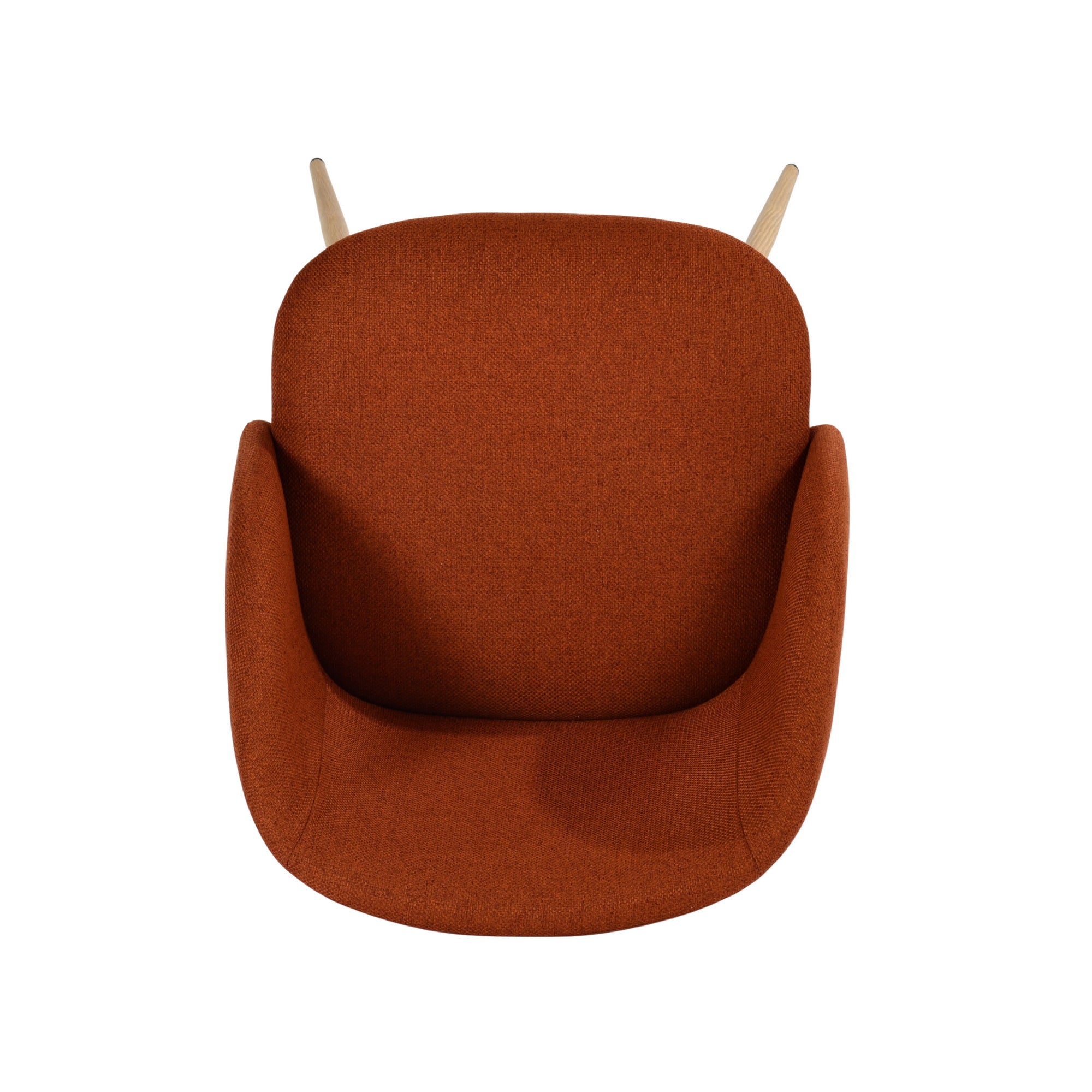 Modern Velvet Dining Chair, Wood Transfer - YNEZ FABB TERRACOTTA