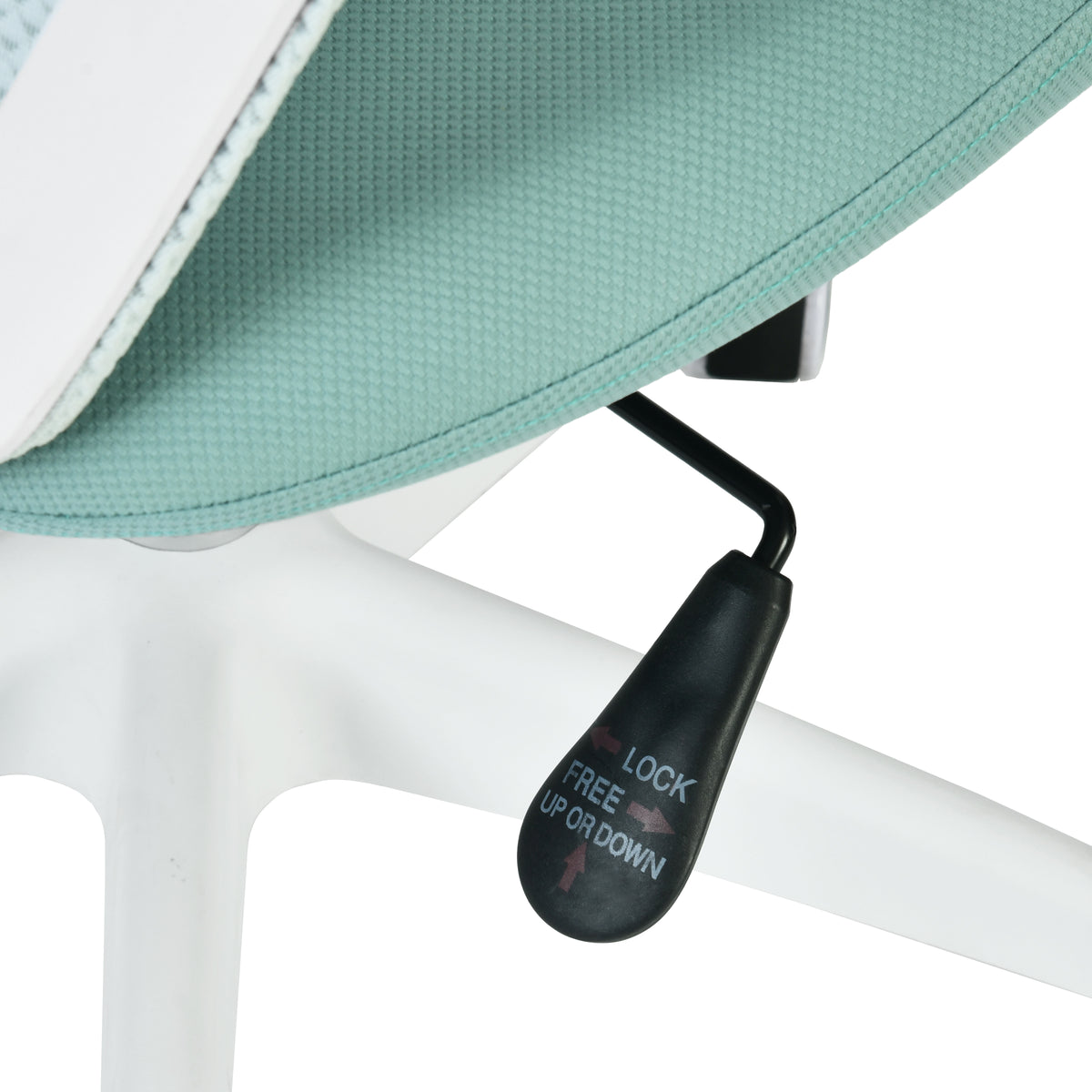 Modern Ergonomic Office Chair, PP Backrest & Armrests - ZYLOMAR