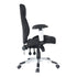 Aeolus Office Chair