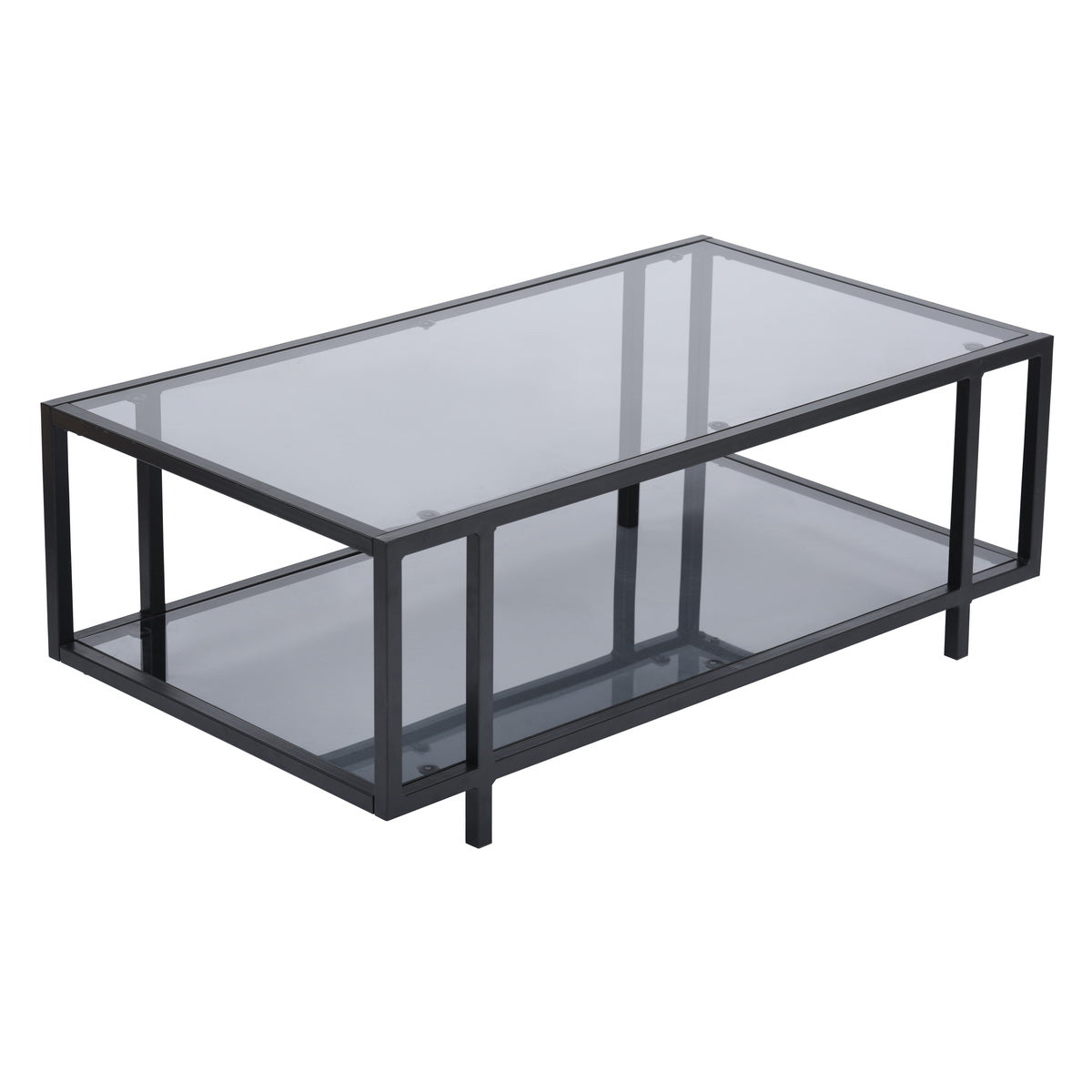 Ziona Coffee Table