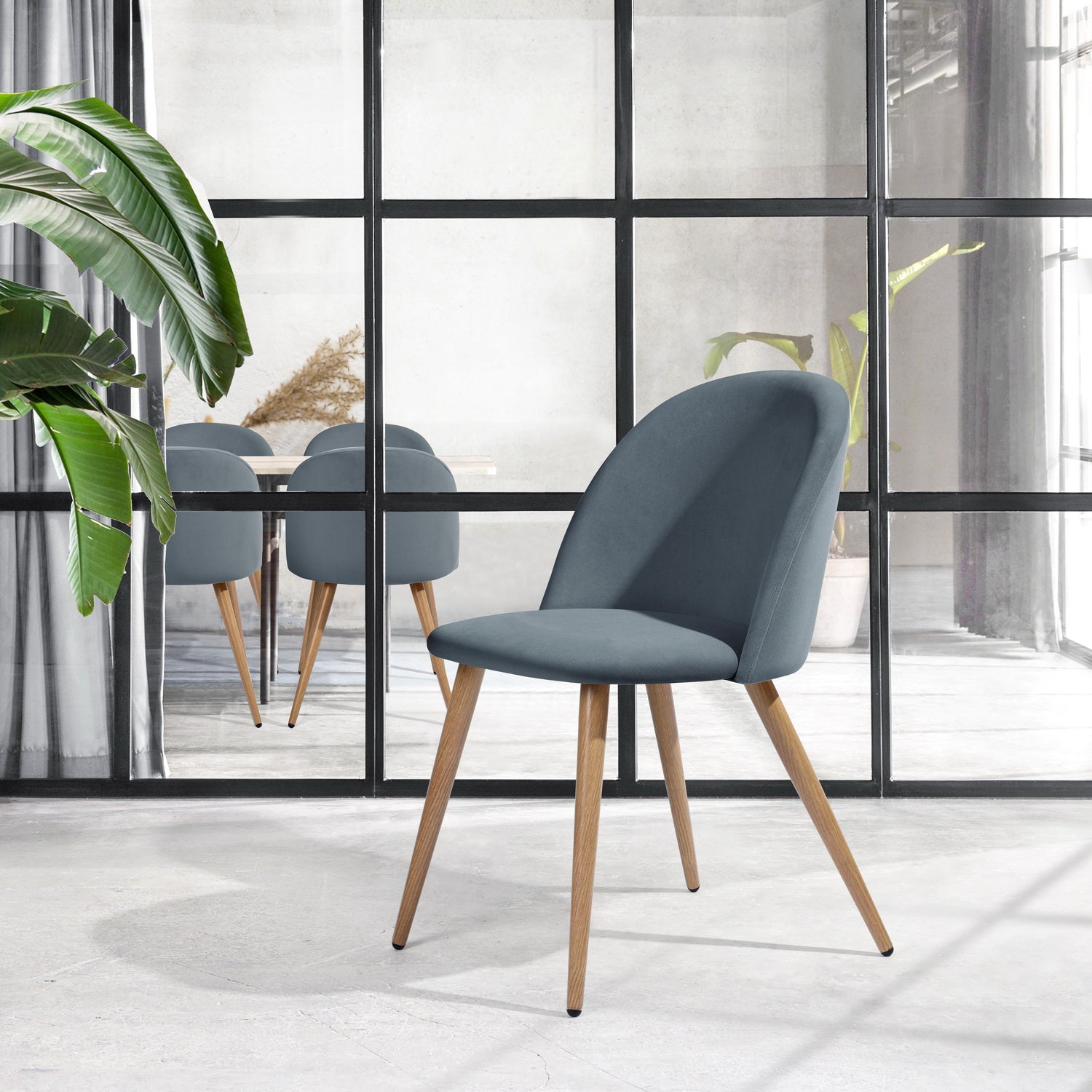 Zomba Dark Grey Dining Chair